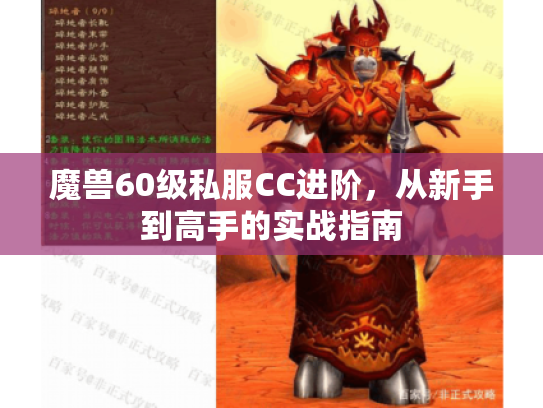 魔兽60级私服CC进阶，从新手到高手的实战指南