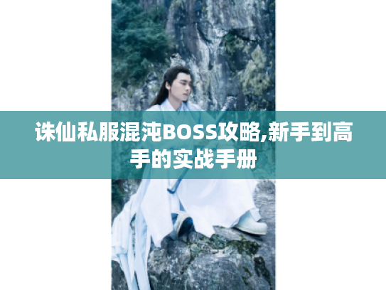 诛仙私服混沌BOSS攻略,新手到高手的实战手册