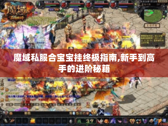 魔域私服合宝宝挂终极指南,新手到高手的进阶秘籍