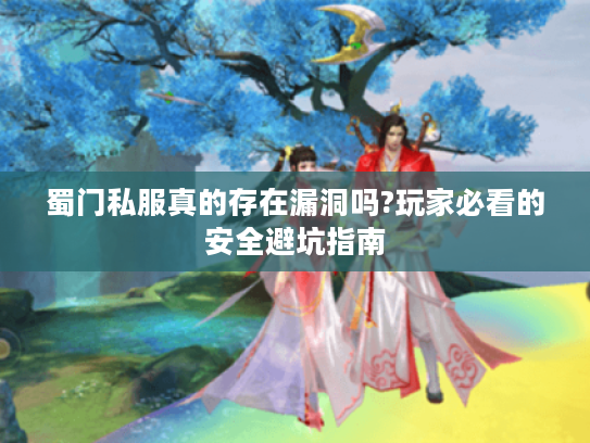 蜀门私服真的存在漏洞吗?玩家必看的安全避坑指南