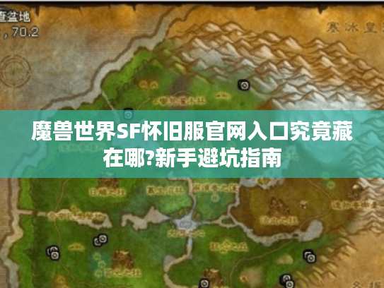 魔兽世界SF怀旧服官网入口究竟藏在哪?新手避坑指南