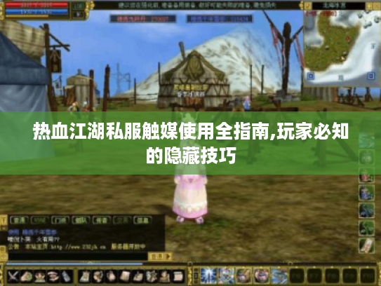 热血江湖私服触媒使用全指南,玩家必知的隐藏技巧