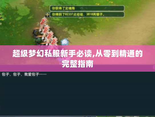 超级梦幻私服新手必读,从零到精通的完整指南