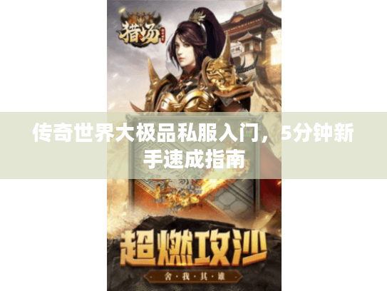 传奇世界大极品私服入门,5分钟新手速成指南 传奇世界大极品私服入门,5分钟新手速成指南