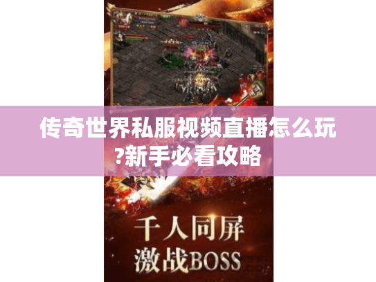 传奇世界私服视频直播怎么玩?新手必看攻略 传奇世界私服视频直播怎么玩?新手必看攻略