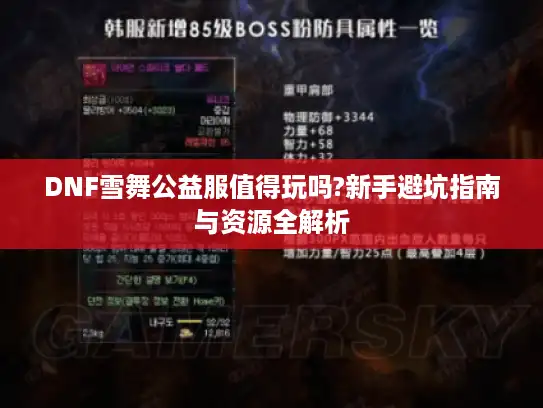DNF雪舞公益服值得玩吗?新手避坑指南与资源全解析