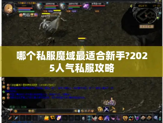 哪个私服魔域最适合新手?2025人气私服攻略
