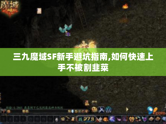 三九魔域SF新手避坑指南,如何快速上手不被割韭菜 三九魔域SF新手避坑指南,如何快速上手不被割韭菜