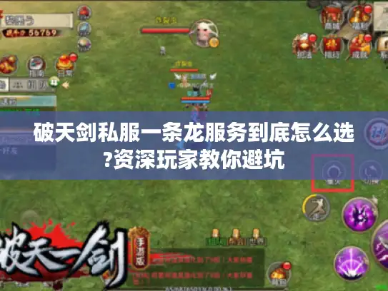 破天剑私服一条龙服务到底怎么选?资深玩家教你避坑