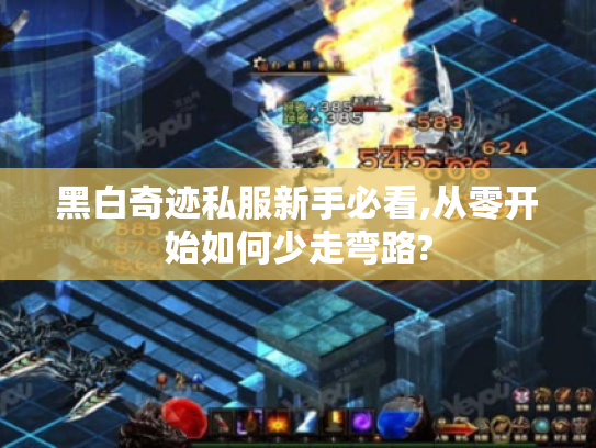 黑白奇迹私服新手必看,从零开始如何少走弯路? 黑白奇迹私服新手必看,从零开始如何少走弯路?