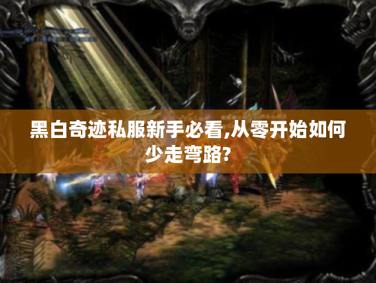 黑白奇迹私服新手必看,从零开始如何少走弯路? 黑白奇迹私服新手必看,从零开始如何少走弯路?