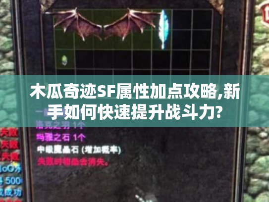 木瓜奇迹SF属性加点攻略图片