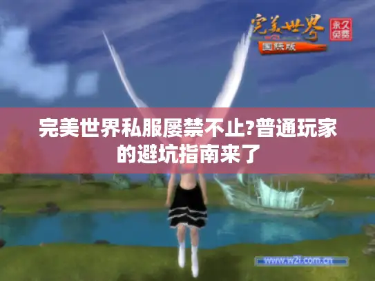 完美世界私服屡禁不止?普通玩家的避坑指南来了
