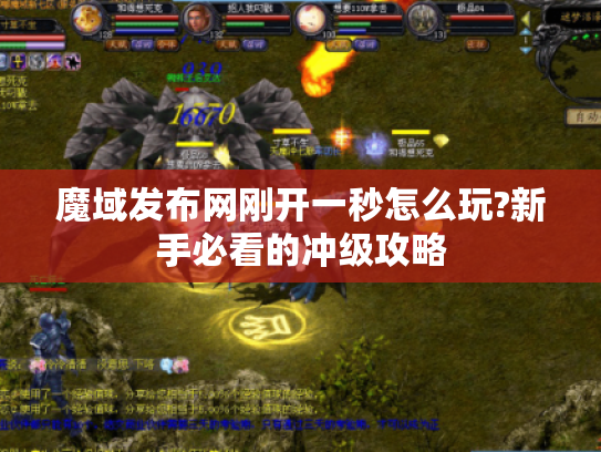 魔域发布网刚开一秒怎么玩?新手必看的冲级攻略