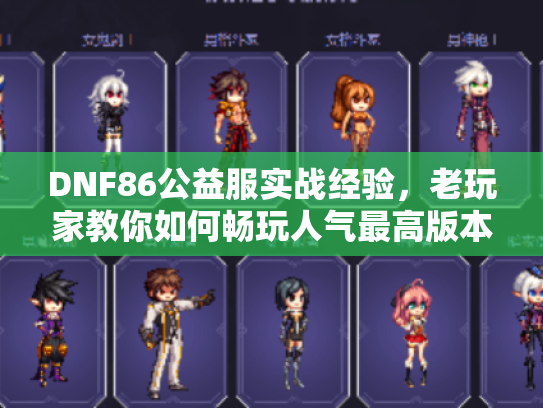 DNF86公益服实战经验,老玩家教你如何畅玩人气最高版本 DNF86公益服实战经验,老玩家教你如何畅玩人气最高版本