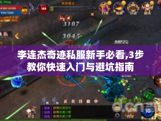 李连杰奇迹私服新手必看,3步教你快速入门与避坑指南 李连杰奇迹私服新手必看,3步教你快速入门与避坑指南