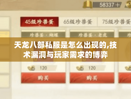 天龙八部私服是怎么出现的,技术漏洞与玩家需求的博弈