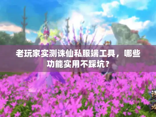 老玩家实测诛仙私服端工具，哪些功能实用不踩坑？