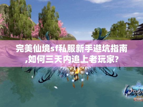 完美仙境sf私服新手避坑指南,如何三天内追上老玩家?