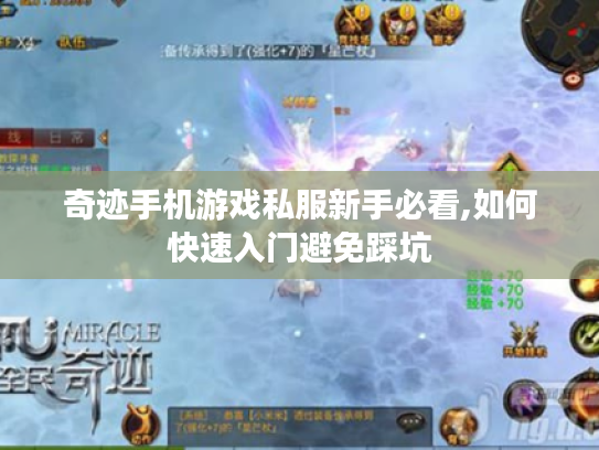 奇迹手机游戏私服新手必看,如何快速入门避免踩坑 奇迹手机游戏私服新手必看,如何快速入门避免踩坑