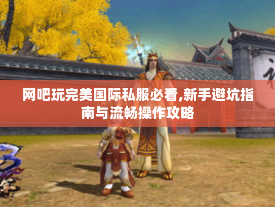 网吧玩完美国际私服必看,新手避坑指南与流畅操作攻略