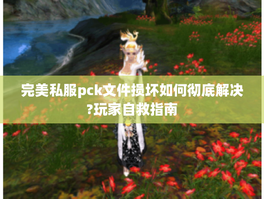 完美私服pck文件损坏如何彻底解决?玩家自救指南 完美私服pck文件损坏如何彻底解决?玩家自救指南