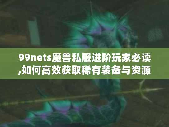 99nets魔兽私服进阶玩家必读,如何高效获取稀有装备与资源?