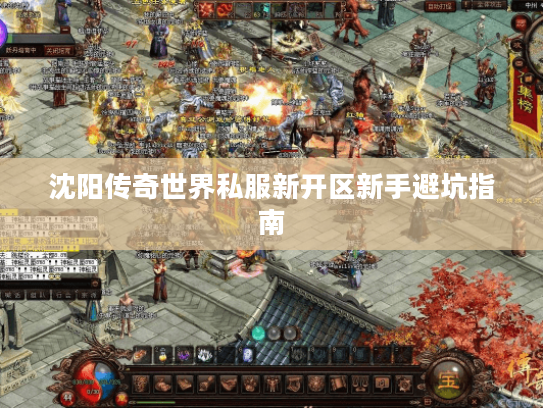 沈阳传奇世界私服新开区新手避坑指南
