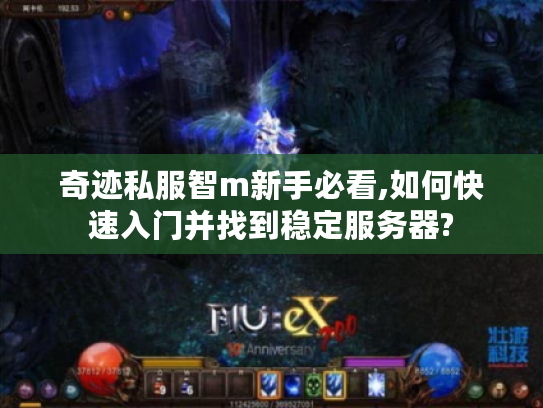 奇迹私服智m新手必看,如何快速入门并找到稳定服务器?