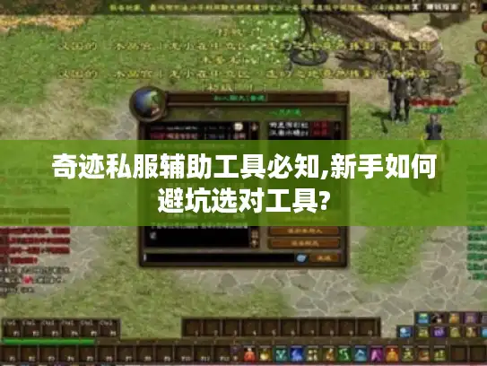奇迹私服辅助工具必知,新手如何避坑选对工具?