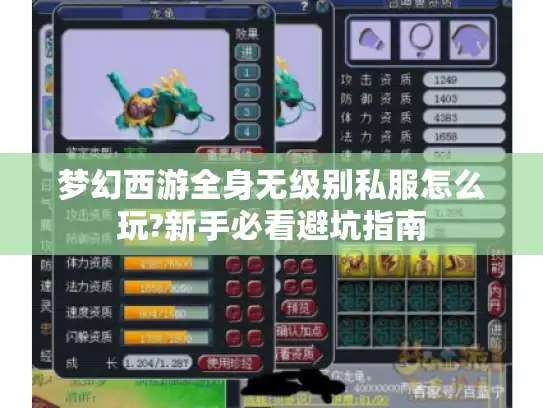 梦幻西游全身无级别私服怎么玩?新手必看避坑指南