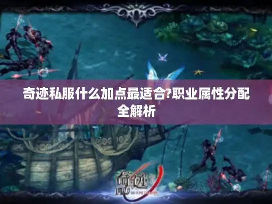 奇迹私服什么加点最适合?职业属性分配全解析