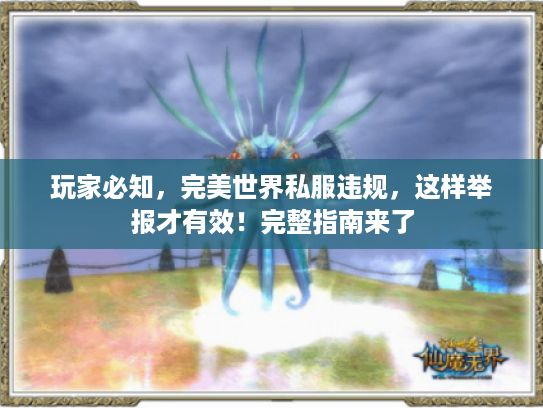 玩家必知，完美世界私服违规，这样举报才有效！完整指南来了