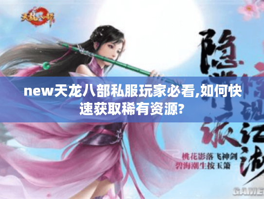 new天龙八部私服玩家必看,如何快速获取稀有资源?