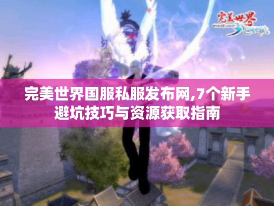 完美世界国服私服发布网,7个新手避坑技巧与资源获取指南