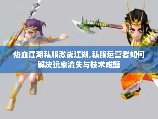 热血江湖私服激战江湖,私服运营者如何解决玩家流失与技术难题