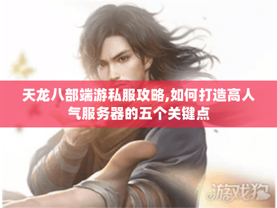 天龙八部端游私服攻略,如何打造高人气服务器的五个关键点