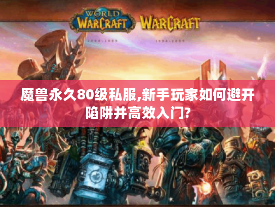 魔兽永久80级私服,新手玩家如何避开陷阱并高效入门?