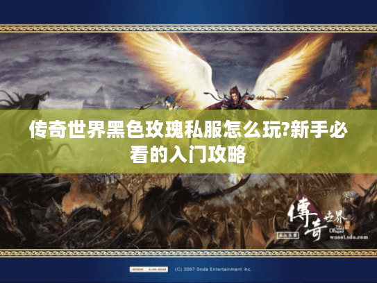 传奇世界黑色玫瑰私服怎么玩?新手必看的入门攻略