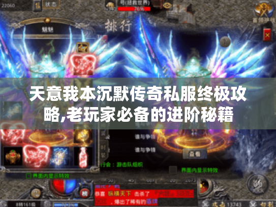 天意我本沉默传奇私服终极攻略,老玩家必备的进阶秘籍
