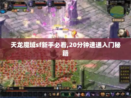 天龙魔域sf新手必看,20分钟速通入门秘籍