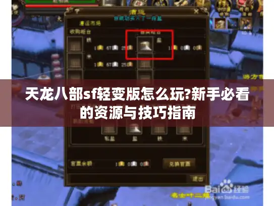 天龙八部sf轻变版怎么玩?新手必看的资源与技巧指南