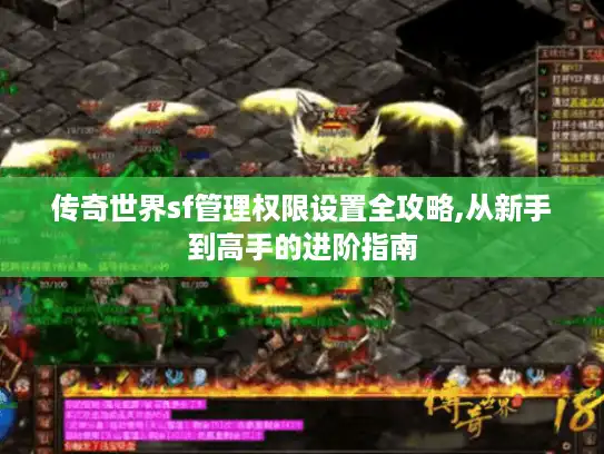 传奇世界sf管理权限设置全攻略,从新手到高手的进阶指南