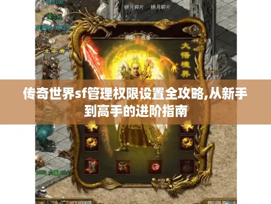 传奇世界sf管理权限设置全攻略,从新手到高手的进阶指南