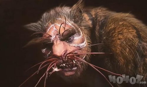 《黑神话悟空》疯虎BOSS跑图攻略！快速获取旧拨浪鼓