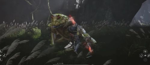 黑神话悟空浪里个波攻略，轻松掌握！