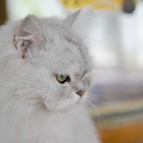 《暗黑4》第五赛季炼狱刷金攻略