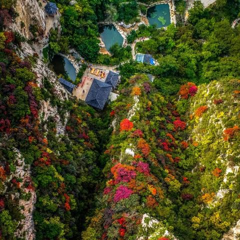 心动小镇8月7日兑换码，直播抢码攻略！