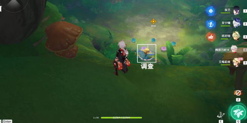 原神艾梅莉埃配队攻略，高效培养技巧揭秘