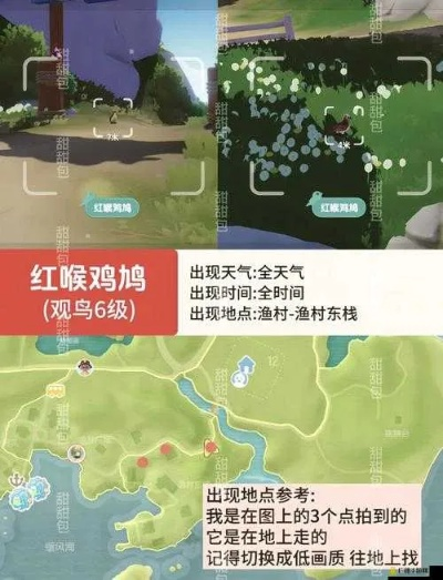 心动小镇红隼现身之谜 心动小镇红隼现身之谜